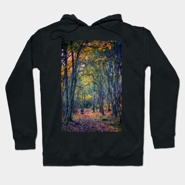 Forest of Dreams Hoodie by InspiraImage